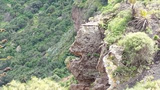 GC-Caldera de Bandama 2026-021.jpg
